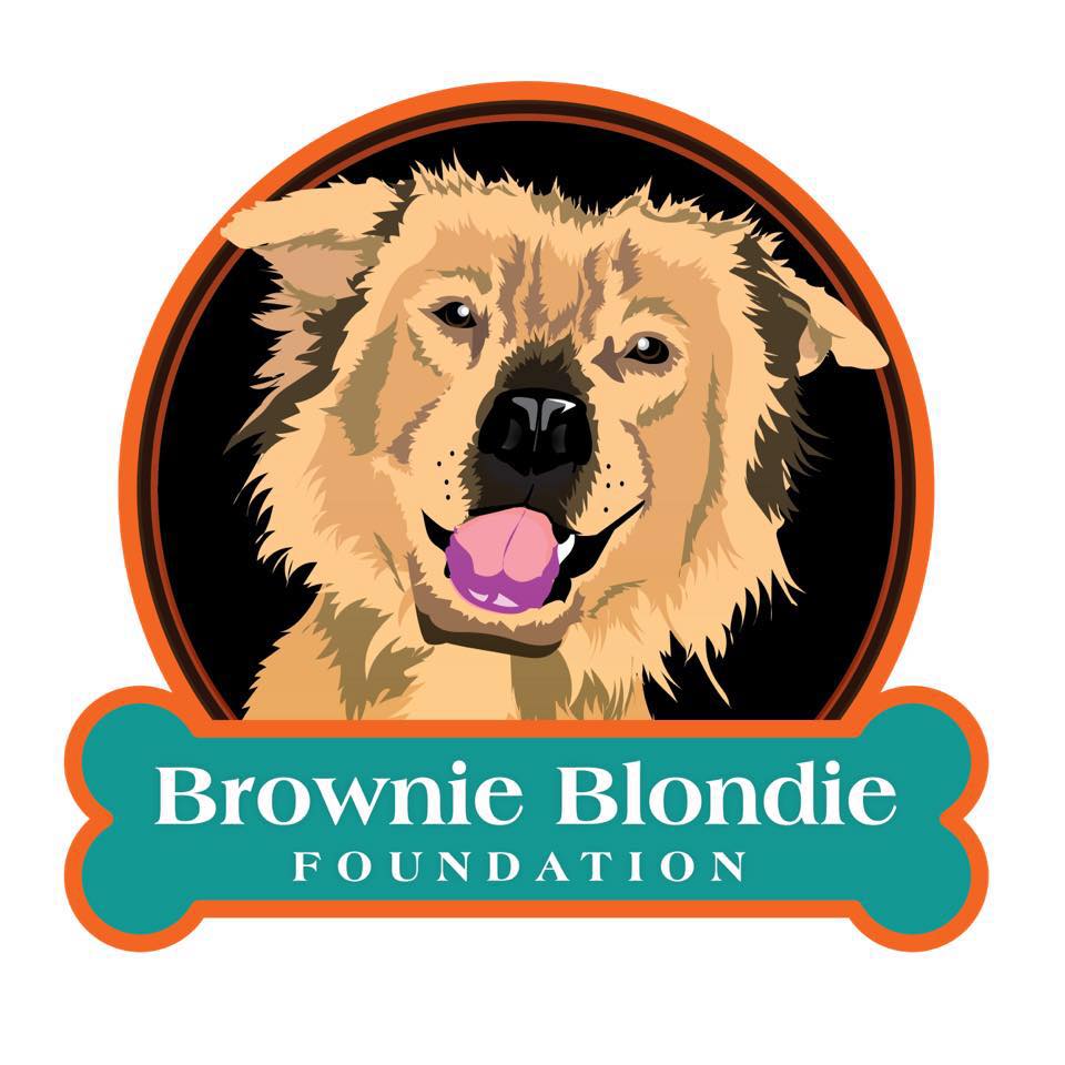 brownieblondiefoundation